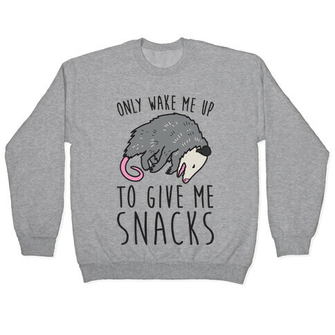 Only Wake Me Up To Give Me Snacks Opossum Pullover