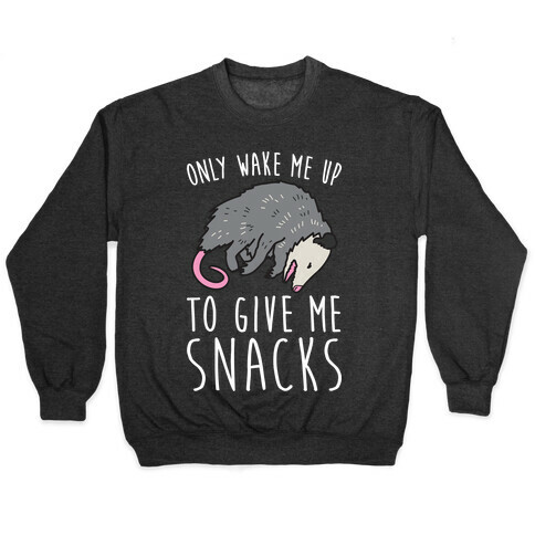 Only Wake Me Up To Give Me Snacks Opossum Pullover