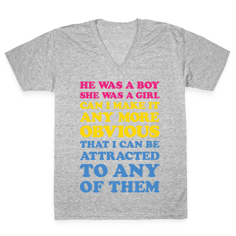 Sk8er Boi Pansexual Parody V-Neck Tee Shirt