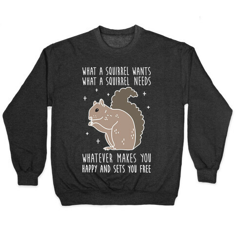 What A Squirrel Wants Pullover