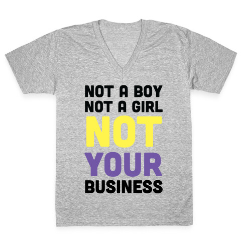 Not a Boy, Not a Girl, Not Your Business V-Neck Tee Shirt