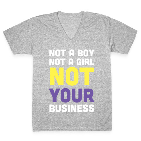 Not a Boy, Not a Girl, Not Your Business V-Neck Tee Shirt