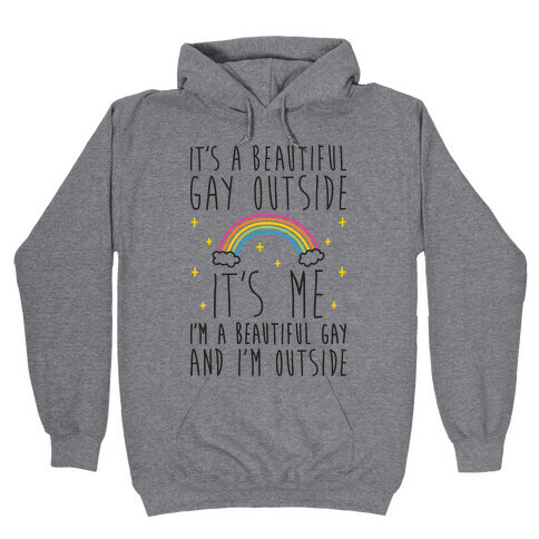 It's A Beautiful Gay Outside Hooded Sweatshirt