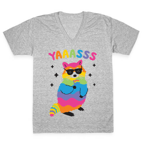 Yas Rainbow Raccoon V-Neck Tee Shirt