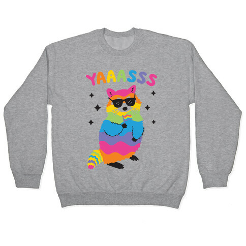 Yas Rainbow Raccoon Pullover