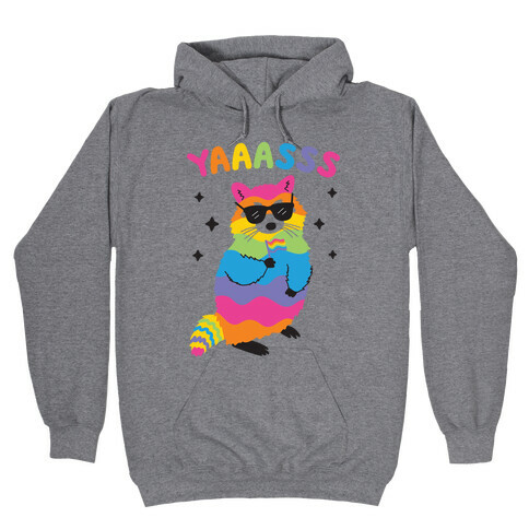 Yas Rainbow Raccoon Hooded Sweatshirt