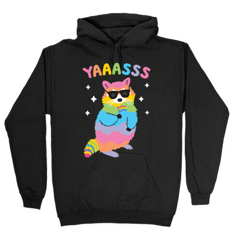 Yas Rainbow Raccoon Hooded Sweatshirt