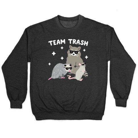 Team Trash Opossum Raccoon Rat Pullover