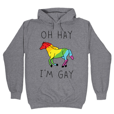 Oh Hay I'm Gay Hooded Sweatshirt