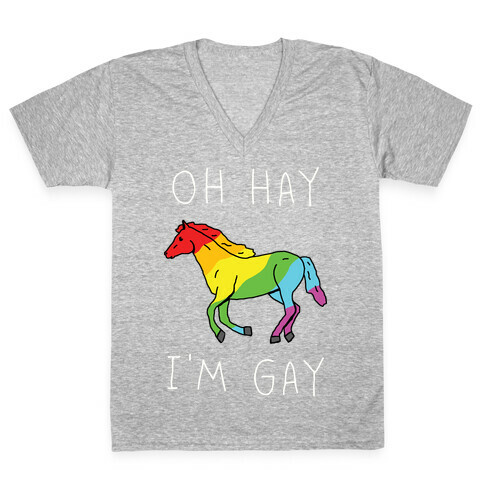 Oh Hay I'm Gay V-Neck Tee Shirt