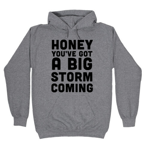 Honey, You've Got a Big Storm Coming Hooded Sweatshirt