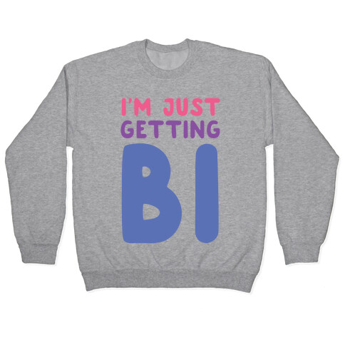 I'm Just Getting Bi Pullover