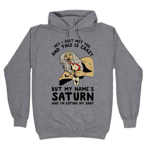 Hey I Just Me You and This is Crazy But My Name's Saturn and I'm Eating My Baby Hooded Sweatshirt