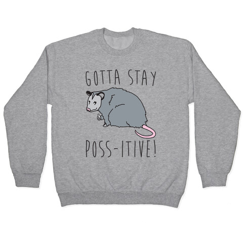 Gotta Stay Poss-itive Opossum  Pullover