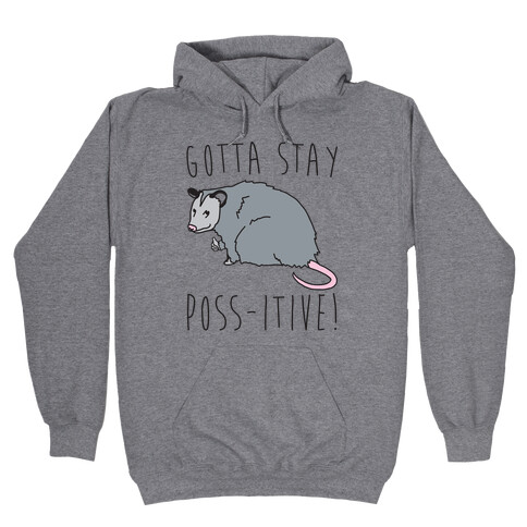 Gotta Stay Poss-itive Opossum  Hooded Sweatshirt