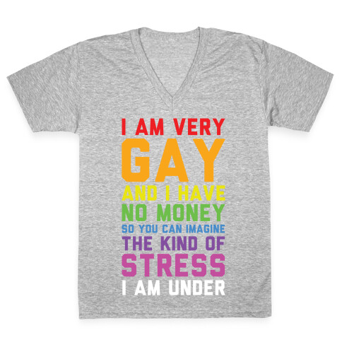 I Am Very Gay And I Have No Money V-Neck Tee Shirt