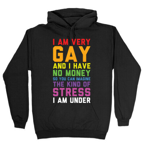 I Am Very Gay And I Have No Money Hooded Sweatshirt