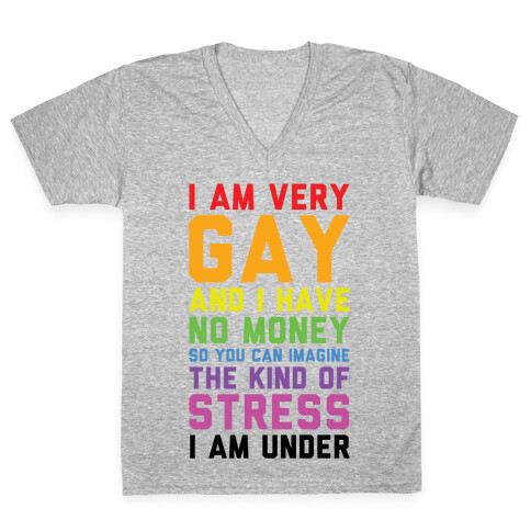 I Am Very Gay And I Have No Money V-Neck Tee Shirt