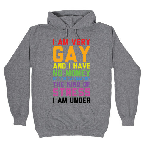 I Am Very Gay And I Have No Money Hooded Sweatshirt