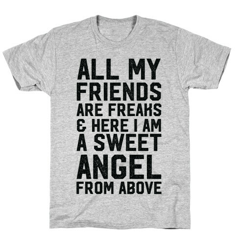 All My Friends are Freaks and Here I am a Sweet Angel From Above T-Shirt