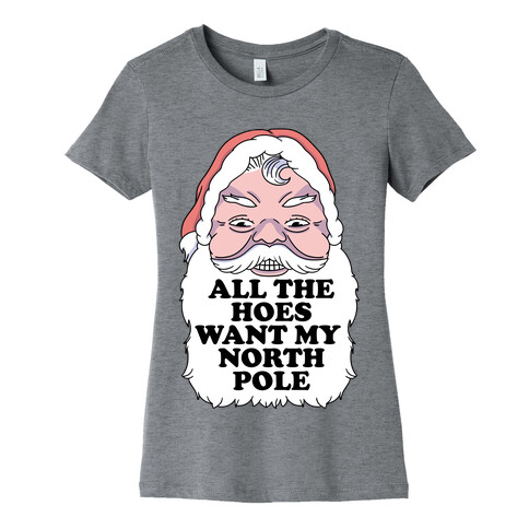 All The Hoes Want My North Pole Womens T-Shirt