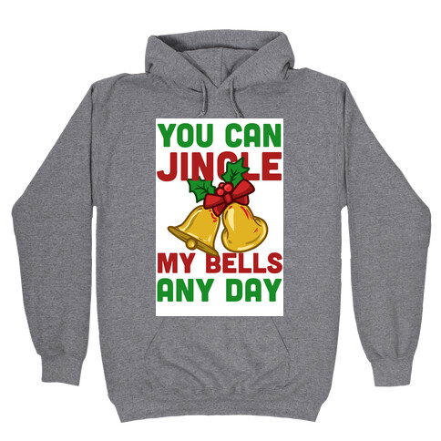 You Can Jingle My Bells Any Day.... Hooded Sweatshirt