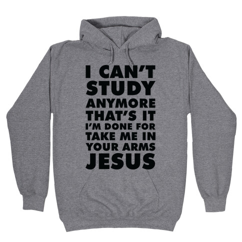 I Can't Study Anymore Take Me In Your Arms Jesus Hooded Sweatshirt