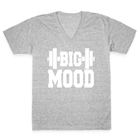 Big Mood Weights V-Neck Tee Shirt