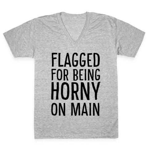 Flagged for Being Horny on Main V-Neck Tee Shirt