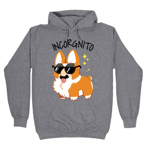 Incorgnito Hooded Sweatshirt