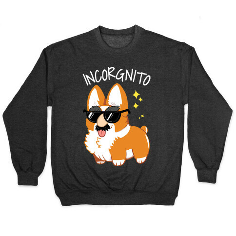 Incorgnito Pullover