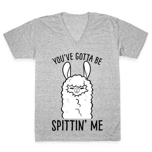 You've Gotta Be Spittin Me V-Neck Tee Shirt