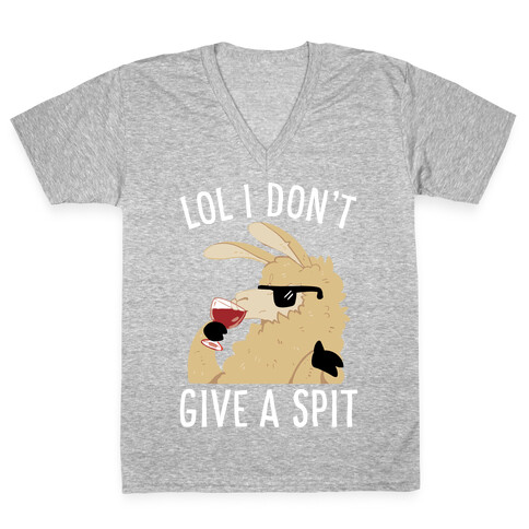 Lol I Don't Give A Spit V-Neck Tee Shirt