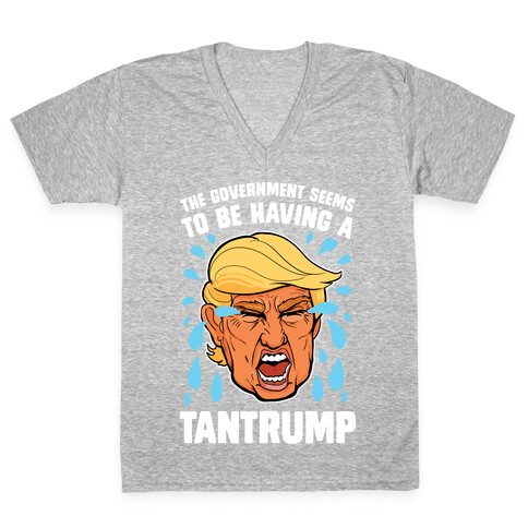 The Government Seems To Be Having A Tantrump V-Neck Tee Shirt