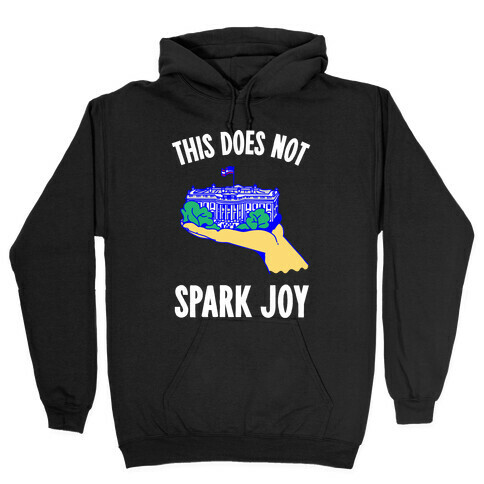 The White House Does Not Spark Joy Hooded Sweatshirt