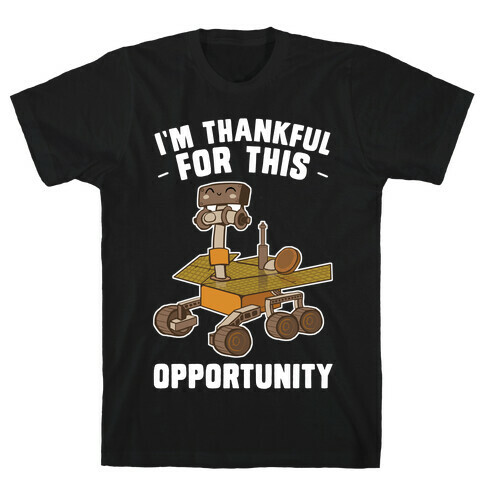 I'm Thankful For this OPPORTUNITY!  T-Shirt