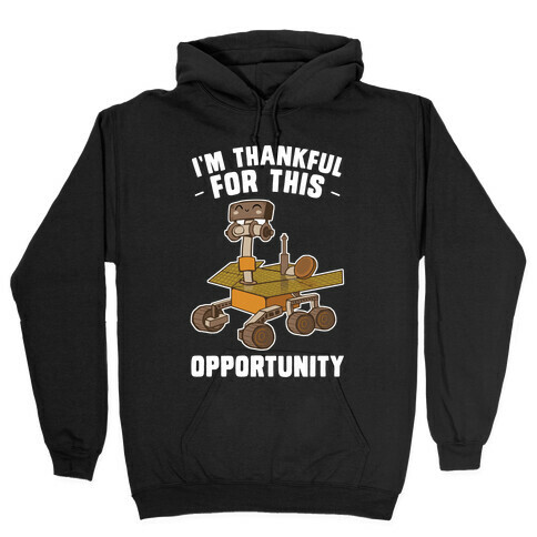 I'm Thankful For this OPPORTUNITY!  Hooded Sweatshirt