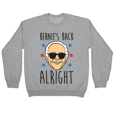 Bernie's Back Alright Pullover