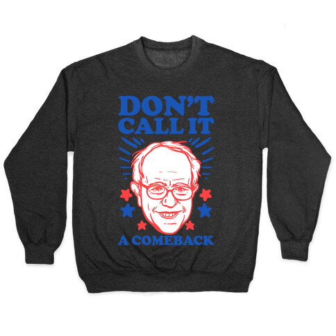 Don't Call It A Comeback Bernie Sanders Pullover