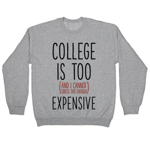 College Is Too (and I Cannot Stress This Enough) Expensive Pullover