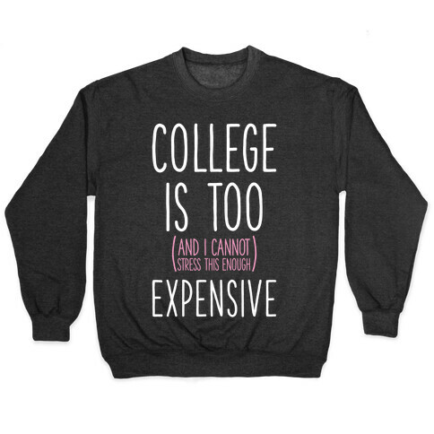 College Is Too (and I Cannot Stress This Enough) Expensive Pullover