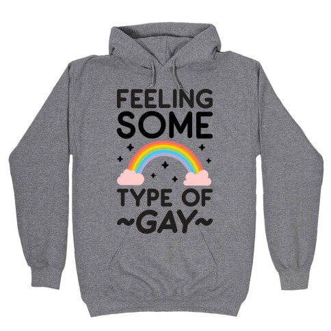 Feeling Some Type of Gay Hooded Sweatshirt