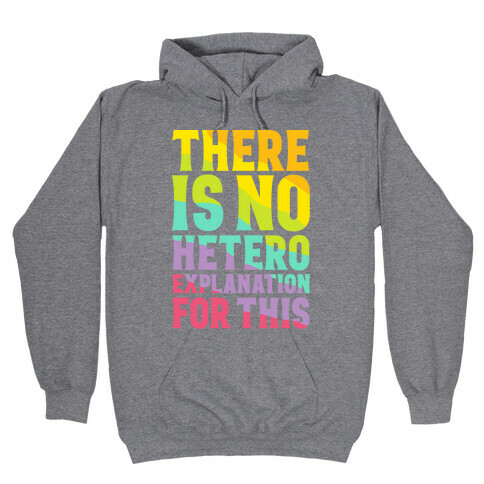 There is No Hetero Explanation For This Hooded Sweatshirt