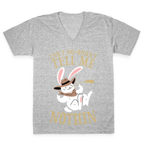 Can't No-Bunny Tell Me Nothin' V-Neck Tee Shirt