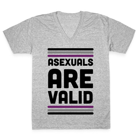 Asexuals are Valid V-Neck Tee Shirt