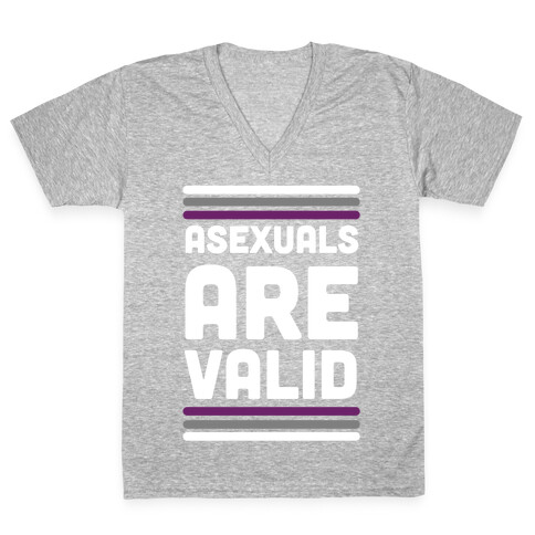 Asexuals are Valid V-Neck Tee Shirt