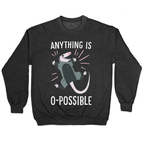 Anything is O-possible  Pullover