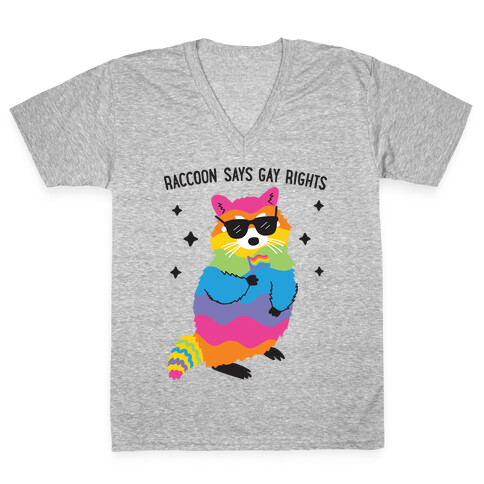 Raccoon Says Gay Rights V-Neck Tee Shirt