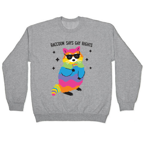 Raccoon Says Gay Rights Pullover