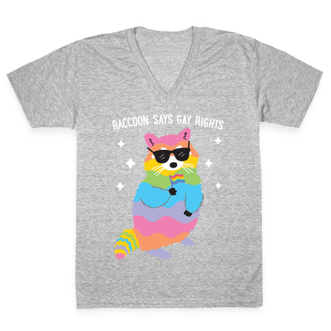 Raccoon Says Gay Rights V-Neck Tee Shirt